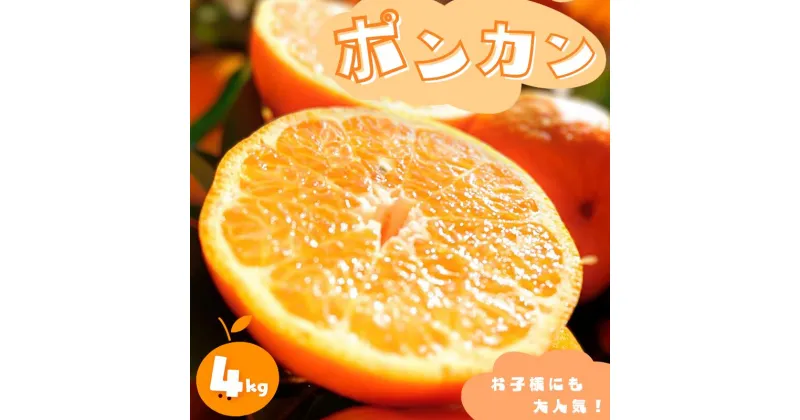 【ふるさと納税】【先行予約】ポンカン 4kg 【2025年1月より順次発送】 / みかん ミカン 蜜柑 ポンカン 和歌山 田辺市 紀州 くだもの 柑橘 フルーツ