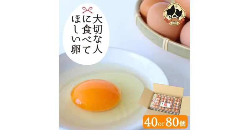 【ふるさと納税】大切な人に食べてほしい卵【選べる容量40個 80個】（冷蔵配送） / 純国産鶏もみじ 田辺市 タマゴ たまご 鶏卵 平飼い お取り寄せ 卵かけごはん 和歌山県