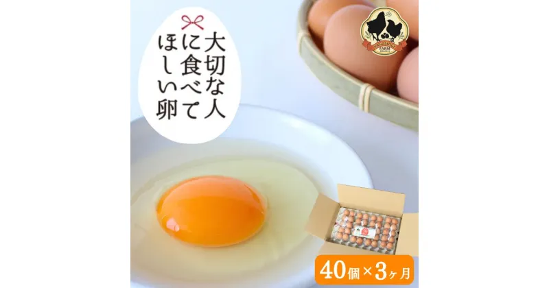 【ふるさと納税】【3カ月定期便】大切な人に食べてほしい卵　40個×3回【冷蔵配送】 / 田辺市 卵 たまご 鶏卵 平飼い お取り寄せ 卵かけごはん 和歌山県