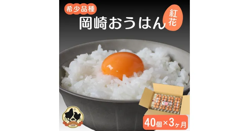 【ふるさと納税】【3カ月定期便】希少品種　岡崎おうはん 紅花の卵 40個×3回【冷蔵配送】 / 田辺市 卵 たまご 有精卵 純国産鶏 鶏卵 平飼い お取り寄せ 卵かけごはん 和歌山県