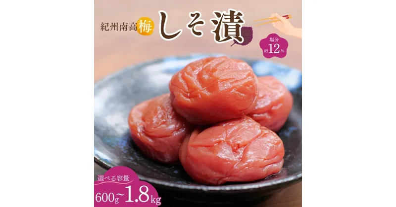 【ふるさと納税】紀州南高梅 しそ漬（塩分約12％）【選べる容量】【600g/1.2kg/1.8kg】 / 梅干し 梅干 梅 田辺市 紀州南高梅 南高梅 うめ 肉厚 お米 おにぎり 焼酎 梅酒 健康 しそ梅 産地直送