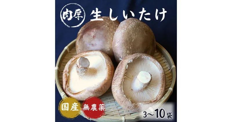 【ふるさと納税】 龍神マッシュの生しいたけ 選べる容量 3～10袋 / 肉厚 無農薬 菌床栽培 きのこ シイタケ 椎茸 和歌山県 田辺市