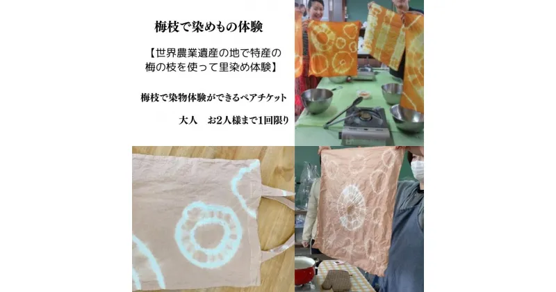 【ふるさと納税】 梅枝で染物体験ができるペアチケット / 体験 手作り 染物 リラックス 和歌山 田辺市 チケット ペアチケット ハンドメイド