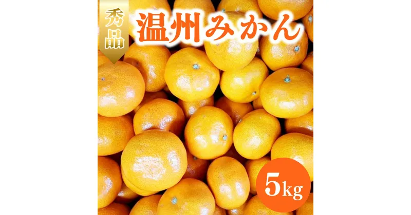 【ふるさと納税】 【予約】温州みかん 5kg ※2024年11月中旬～12月下旬頃に順次発送予定【期間限定・数量限定】 / みかん 蜜柑 5キロ お取り寄せ 産地直送 贈答品 ギフト 果物 くだもの フルーツ 田辺市 和歌山県