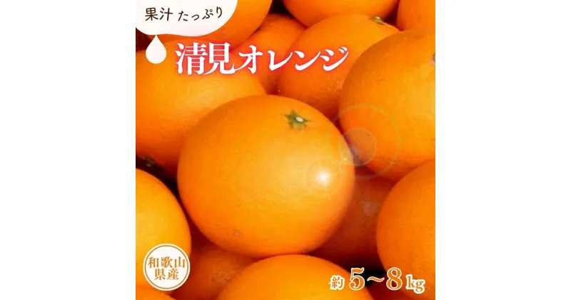 【ふるさと納税】 清見オレンジ約5kg 約8kg (果実サイズおまかせ) 紀伊国屋文左衛門本舗【2025年2月中旬〜4月下旬頃に発送予定】