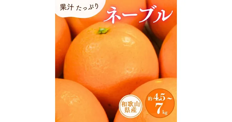 【ふるさと納税】 ネーブル約4.5kg 約7kg / サイズおまかせ ※2025年1月中旬〜2月上旬頃に順次発送予定（お届け指定日不可）紀伊国屋文左衛門本舗