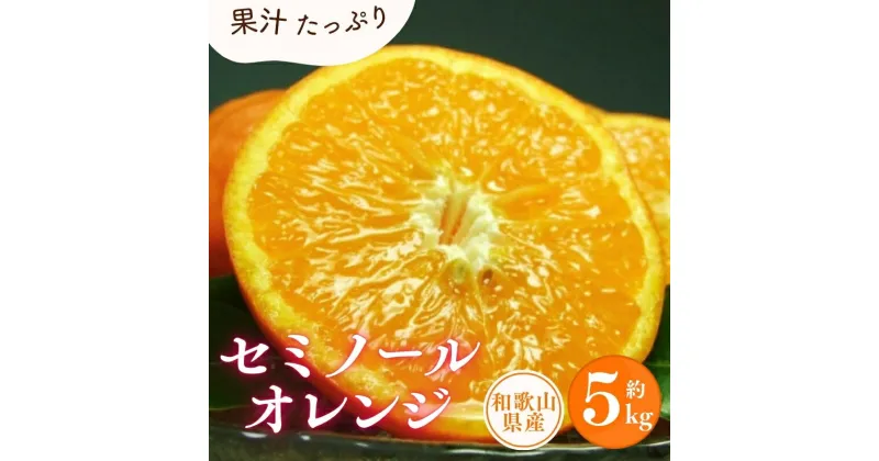 【ふるさと納税】 セミノールオレンジ 約5kg / サイズおまかせ ※2025年4月中旬〜5月下旬頃に順次発送予定(お届け日指定不可) 紀伊国屋文左衛門本舗