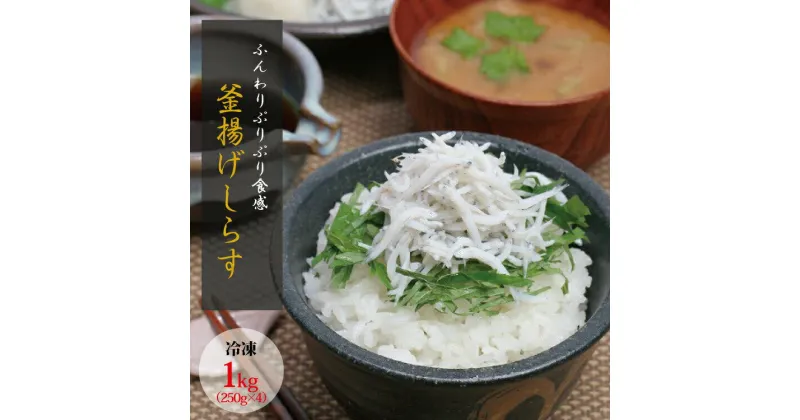 【ふるさと納税】 茹でたて釜揚げしらす 1kg(250g×4パック)【冷凍】