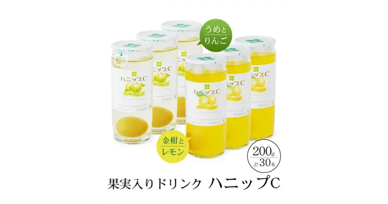 【ふるさと納税】 果実入り清涼飲料水 ハニップC 2種類セット （ 200g×15本×2種類）