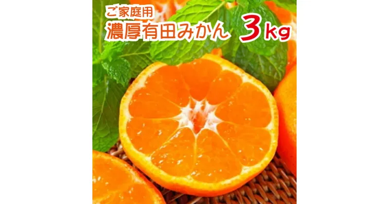 【ふるさと納税】 農園直送！完熟有田みかん 約3kg ※2024年11月〜12月に発送予定（お届け日指定不可）