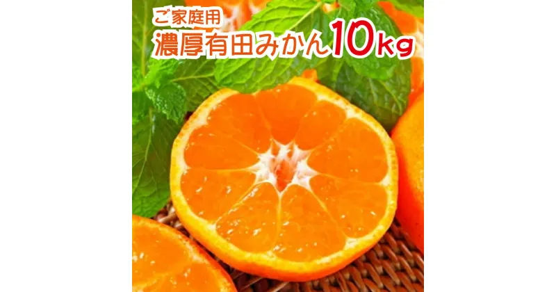 【ふるさと納税】 農園直送！濃厚有田みかん 約10kg ※2024年11月上旬〜2024年12月下旬頃順次発送予定（お届け日指定不可）