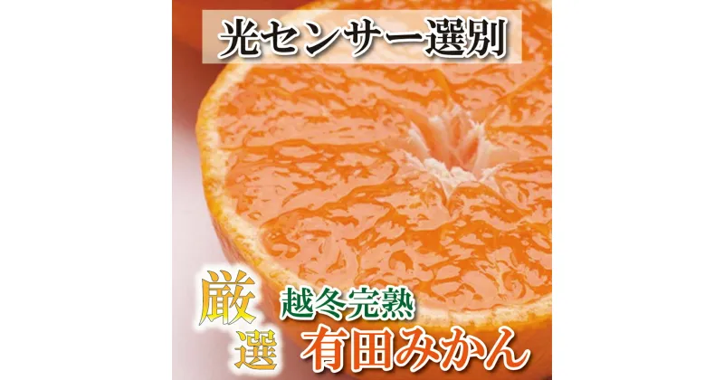 【ふるさと納税】 厳選 越冬完熟みかん1.5kg+45g(傷み補償分) / 3kg+90g(傷み補償分) / 5kg+150g(傷み補償分)【ハウスみかん】【光センサー選果】＜2025年1月中旬〜2月下旬ごろに順次発送＞