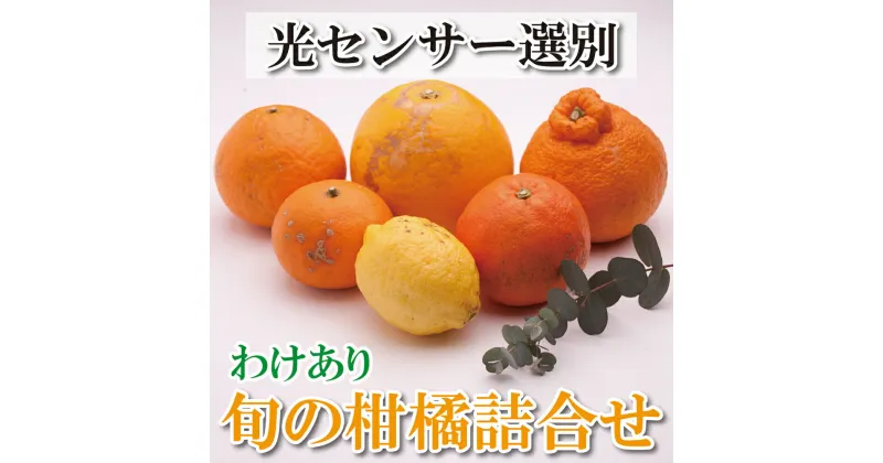 【ふるさと納税】＼容量が選べる！／ 家庭用 柑橘詰合せ【訳あり・わけあり】【有田の春みかん詰め合わせ・フルーツ詰め合せ・オレンジつめあわせ】【光センサー選別】＜2025年1月上旬〜4月下旬ごろに順次発送＞