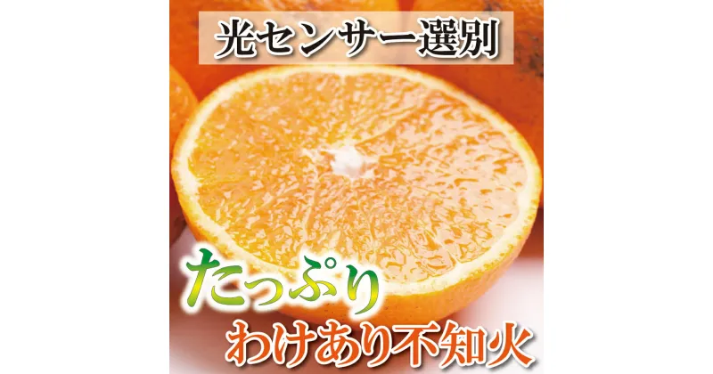 【ふるさと納税】 家庭用 不知火 4kg+150g(傷み補償分) / 5kg+225g(傷み補償分) 【デコポンと同品種】【わけあり・訳あり】【しらぬひみかん・しらぬい】【光センサー選別】＜2025年2月〜2025年3月下旬ごろに順次発送＞