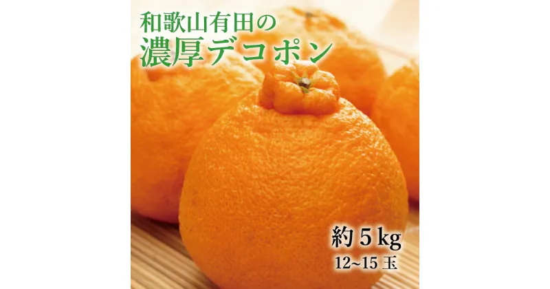 【ふるさと納税】 【大人気】和歌山有田の濃厚 大玉 デコポン 12〜15玉(約5kg) ※2025年1月中旬〜3月下旬頃順次発送