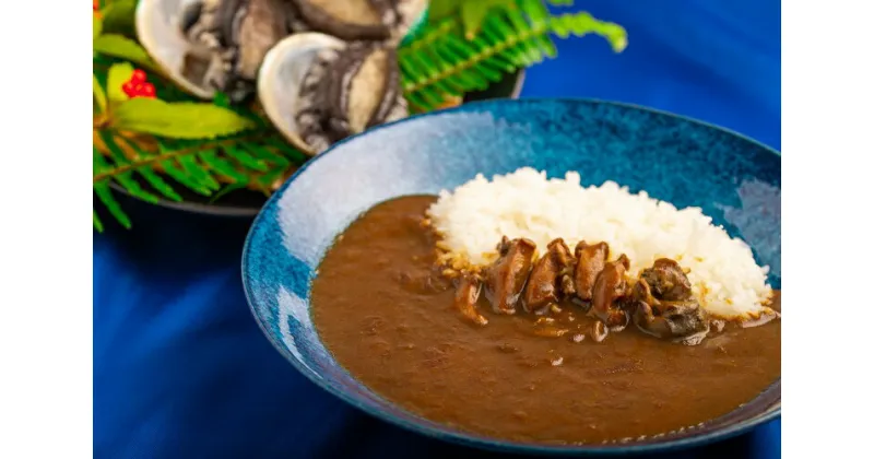 【ふるさと納税】 和歌山のアワビ屋さんがつくったあわびカレー 【170g×3袋】＜日付指定OK＞