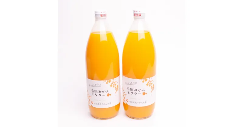 【ふるさと納税】 とろり みかんネクター1000ml×2本【無添加100%ストレートジュース】【有田みかんジュース】