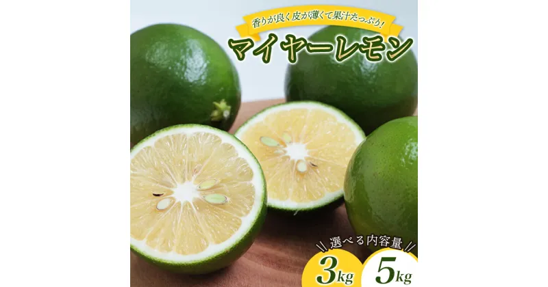 【ふるさと納税】 数量限定 マイヤーレモン 3kgまたは5kg 【2024年10月~2025年3月下旬の期間で順次発送】/ レモン 国産 マイヤーレモン 数量限定