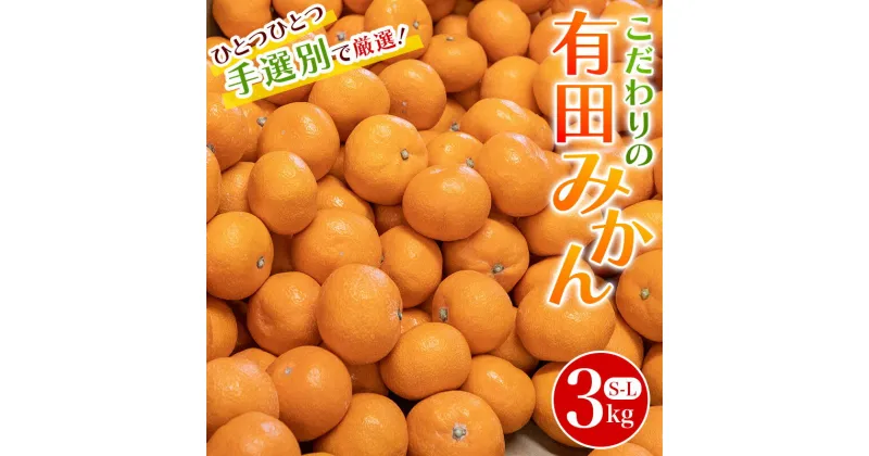 【ふるさと納税】 こだわりの和歌山県産 有田みかん 3kg（S〜Lサイズ） ひとつひとつ手選別で厳選！生産者から直送 【2024年11月下旬〜1月中旬ごろに順次発送予定】/ みかん フルーツ 果物 くだもの 有田みかん 蜜柑 柑橘