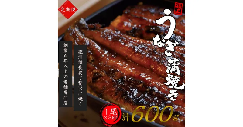 【ふるさと納税】 【全3回定期便】極上！国産うなぎ蒲焼 1尾×3回 計3尾 約600g 創業100年以上続く老舗 紀州備長炭でじっくり焼き上げた専門店の味 （タレ・山椒付き）/ うなぎ ウナギ 鰻 蒲焼 国産 ふるさと納税