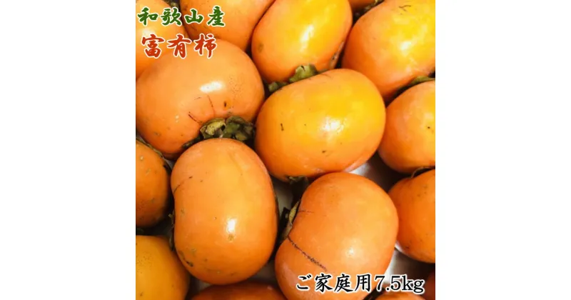 【ふるさと納税】 和歌山産富有柿ご家庭用約7.5kg※2024年11月上旬〜2024年12月上旬頃発送 （お届け日指定不可）