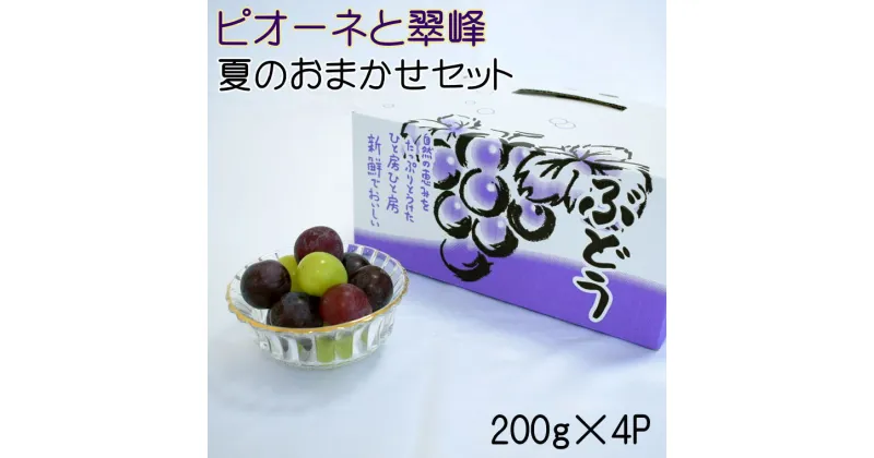 【ふるさと納税】 【数量限定】 ピオーネと翠峰の夏のおまかせセット 約200g×4パック ※2025年8月下旬～2025年9月上旬頃順次発送