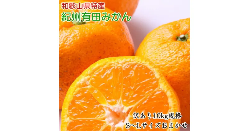 【ふるさと納税】 [訳あり規格] 和歌山有田みかん10kg（S〜Lサイズおまかせ）※2024年11月中旬〜1月中旬頃順次発送予定（お届け日指定不可）