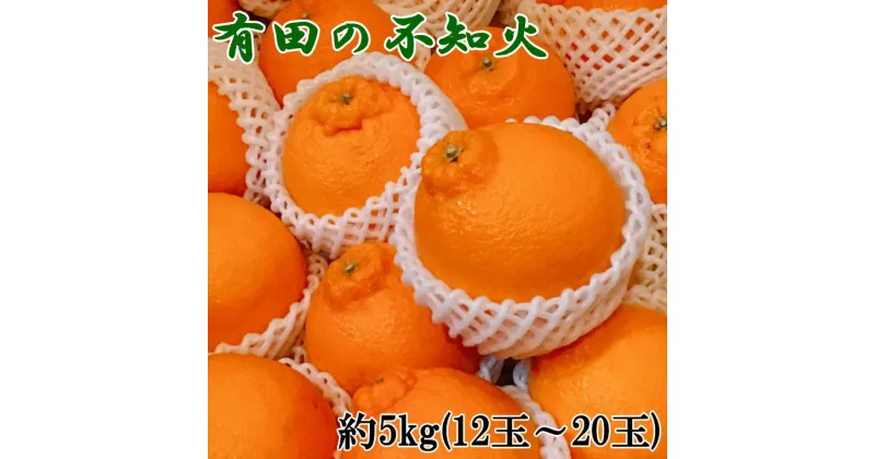 【ふるさと納税】 【濃厚】有田の不知火約5kg（12玉〜20玉おまかせ）＜2025年2月中旬〜2025年3月上旬頃に順次発送＞