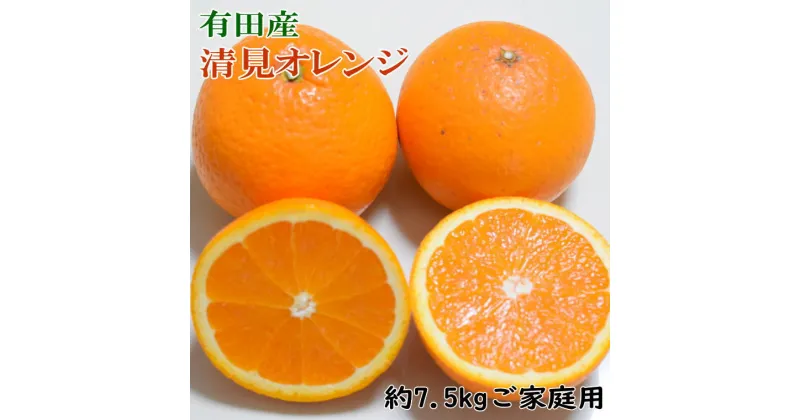 【ふるさと納税】 【産直】有田産清見オレンジ 約7.5kg（訳あり家庭用サイズおまかせまたは混合）＜2025年2月上旬〜3月下旬頃に順次発送＞