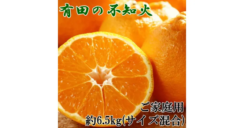 【ふるさと納税】 【濃厚】有田の不知火約6.5kgご家庭用向け（サイズ混合）＜2025年2月中旬〜2025年3月上旬頃に順次発送＞（お届け日指定不可）