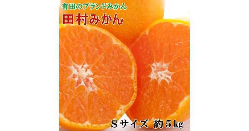 【ふるさと納税】 【ブランドみかん】田村みかん約5kg（Sサイズ・秀品） ※2024年11月下旬〜12月下旬頃順次発送予定（お届け日指定不可）