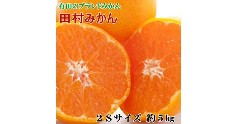 【ふるさと納税】 【ブランドみかん】田村みかん約5kg（2Sサイズ・秀品） ※2024年11月下旬〜12月下旬頃順次発送予定（お届け日指定不可）