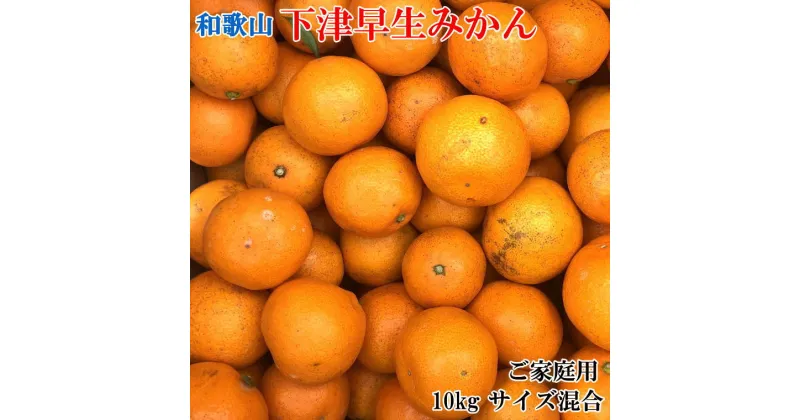 【ふるさと納税】 【産直】和歌山下津みかん 10kg（訳ありサイズ混合）※2024年11月中旬〜2025年1月中旬ごろに順次発送(お届け日指定不可)