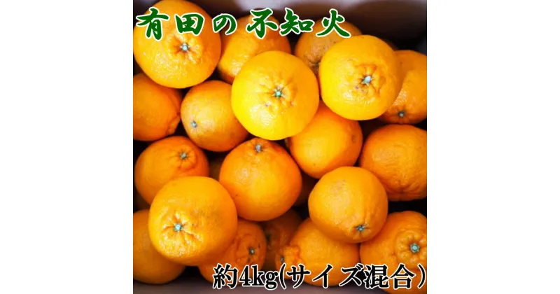 【ふるさと納税】 【濃厚】有田産不知火約4kg（M〜3Lサイズ混合）※2025年2月中旬〜2025年3月上旬頃に発送予定（お届け日指定不可）