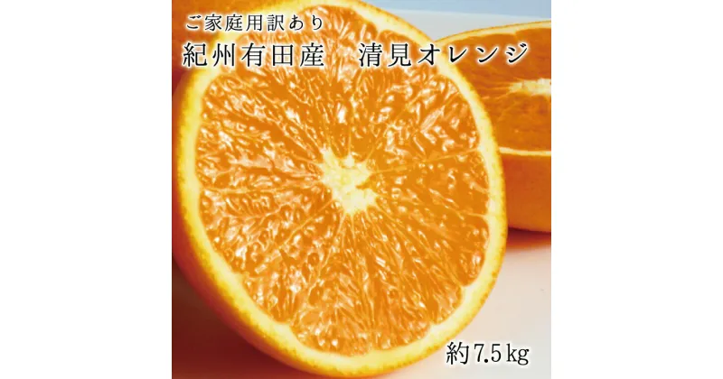 【ふるさと納税】 【ご家庭用訳アリ】紀州有田産清見オレンジ 7.5kg ※2025年3月下旬〜2025年4月中旬頃に順次発送予定(お届け日指定不可)