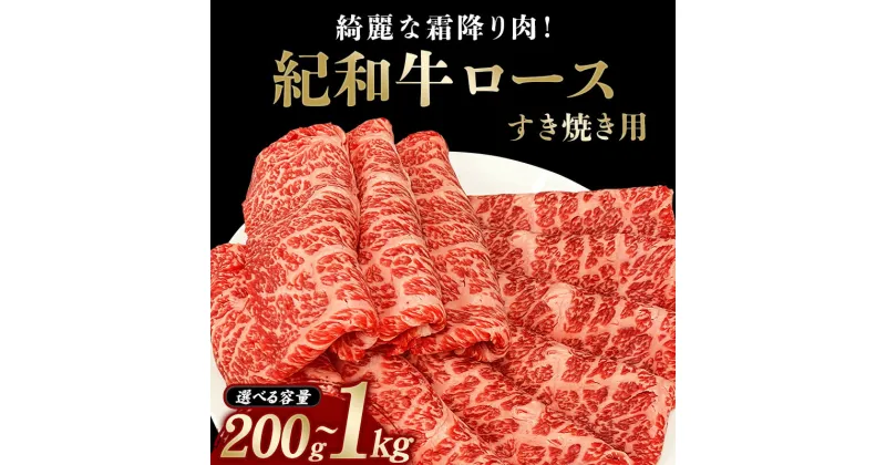 【ふるさと納税】 すき焼き用 紀和牛ロース 【容量・冷蔵or冷凍をお選びください】 / 牛肉 赤身 すき焼き肉 すき焼き牛肉 国産 和牛 黒毛和牛 ホルスタイン ギフト 贈り物 お取り寄せ 大容量 肉 牛 ロース 人気 大人気 おすすめ