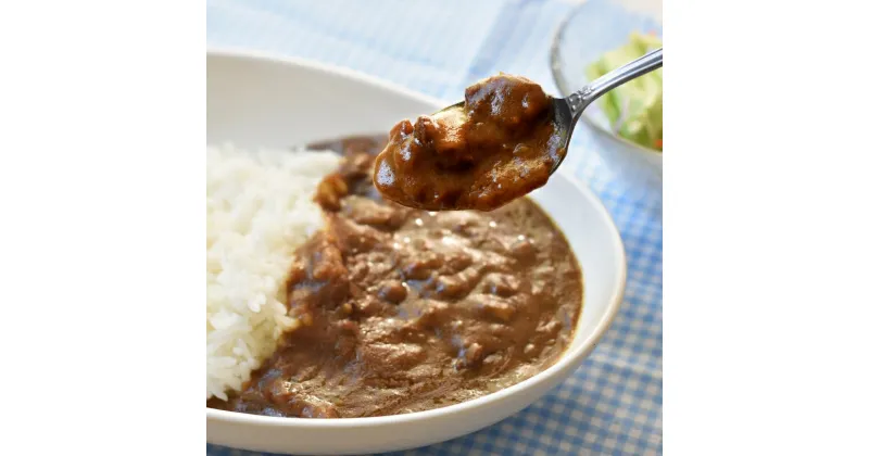 【ふるさと納税】 熊野牛の牛すじを使ったこだわりの手作りカレー 200g×4袋/カレー 肉 牛 牛すじ 熊野牛 ブランド 和牛 高級和牛 冷凍 通年 手作り うまい 逸品 おかず 牛すじカレー