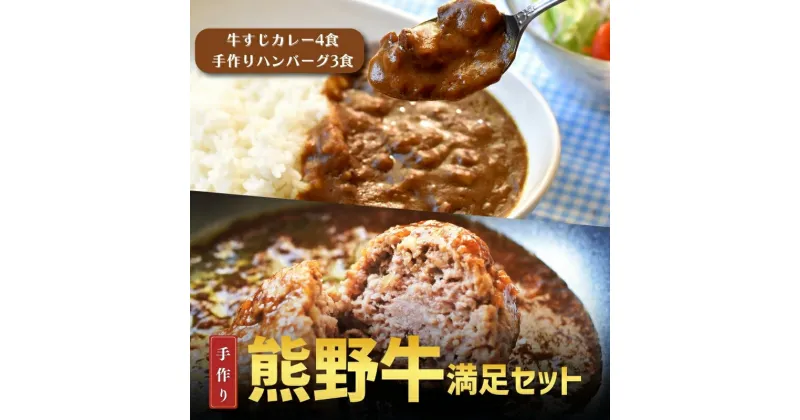 【ふるさと納税】 素材と手作りにこだわった 熊野牛すじ肉カレーとハンバーグセット （カレー：200g×4袋、ハンバーグ：170g×3袋) / カレー カレーライス 牛すじ おかず 惣菜 お惣菜 ハンバーグ