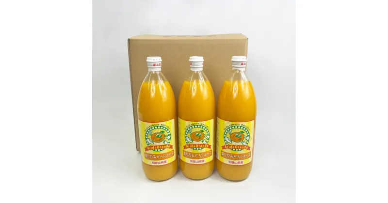 【ふるさと納税】 【和歌山県有田産】100%温州みかんジュース (970ml×12本セット)/ジュース みかん