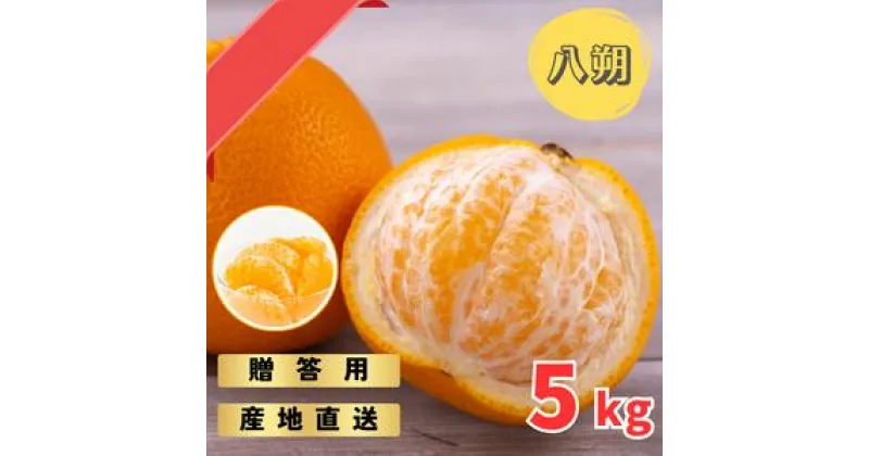 【ふるさと納税】 【先行予約】完熟木なりハッサクみかん 贈答用 秀品 5kg（M〜3Lサイズ）【2025年3月下旬から4月下旬までに順次発送】/ みかん ハッサク 八朔 柑橘 果物 フルーツ 贈答