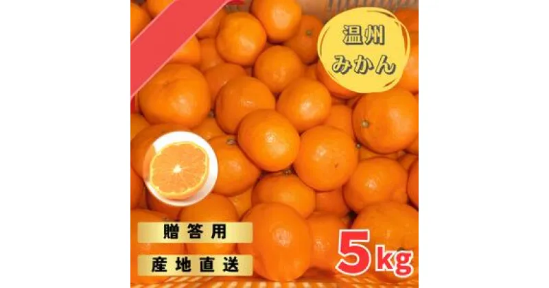 【ふるさと納税】 【先行予約】宮川早生みかん 贈答用 秀品 5kg（2S〜2L）【2024年11月下旬から12月中旬までに順次発送】 / みかん 蜜柑 柑橘 果物 フルーツ 早生 秀品 贈答