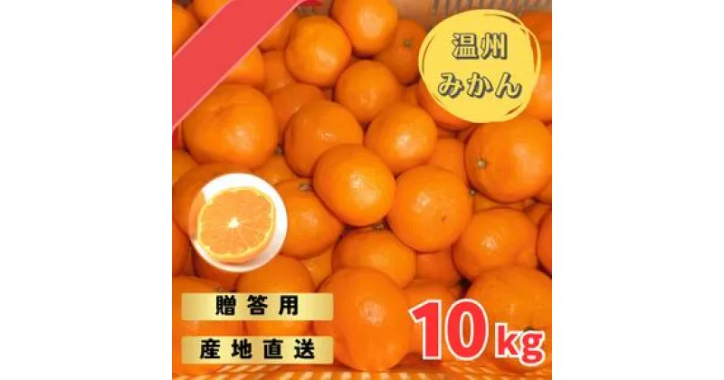 【ふるさと納税】 【先行予約】宮川早生みかん 贈答用 秀品 10kg（2S〜2L）【2024年11月下旬から12月中旬までに順次発送】 / みかん 蜜柑 柑橘 果物 フルーツ 早生 秀品 贈答