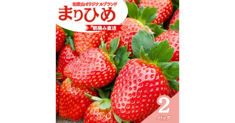 【ふるさと納税】 【先行予約】特大まりひめ いちご 朝摘 6個〜11個入り×2パック 2025年1月初旬〜2025年3月中旬頃に順次発送予定（お届け日指定不可）/ いちご 苺 まりひめ 和歌山 フルーツ 果物 くだもの