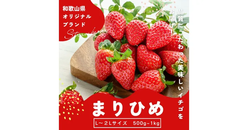 【ふるさと納税】 【先行予約】まりひめ いちご 12粒〜15粒入り×2パック or 4パック（500g or 1kg） 2025年1月初旬〜2025年3月末頃に順次発送予定（お届け日指定不可）/ いちご 苺 まりひめ 和歌山 フルーツ 果物 くだもの