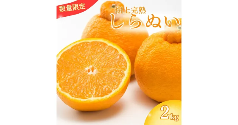 【ふるさと納税】 【先行予約】【数量わずか】樹上完熟しらぬい（不知火） 約2kg(6個) 秀品 2025年2月中旬〜2025年3月中旬頃に順次発送予定（お届け日指定不可）/ 和歌山 みかん しらぬい 不知火 フルーツ 柑橘 蜜柑 果物 くだもの