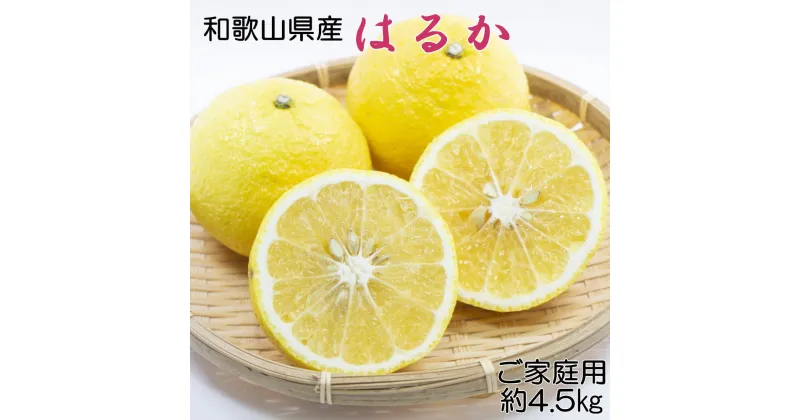 【ふるさと納税】 【さわやか柑橘】和歌山県産はるかみかん約4.5kg（サイズ混合 秀品） ※2025年2月下旬〜2025年3月下旬頃順次発送