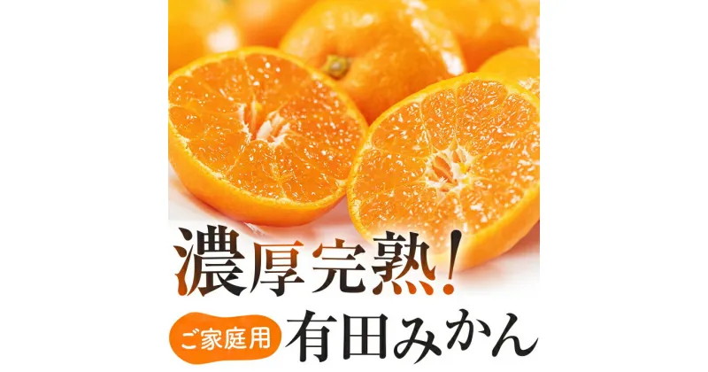 【ふるさと納税】 有田育ちのご家庭用完熟 有田みかん 2.2kg ※2024年11月上旬〜12月下旬頃に順次発送 ※着日指定不可