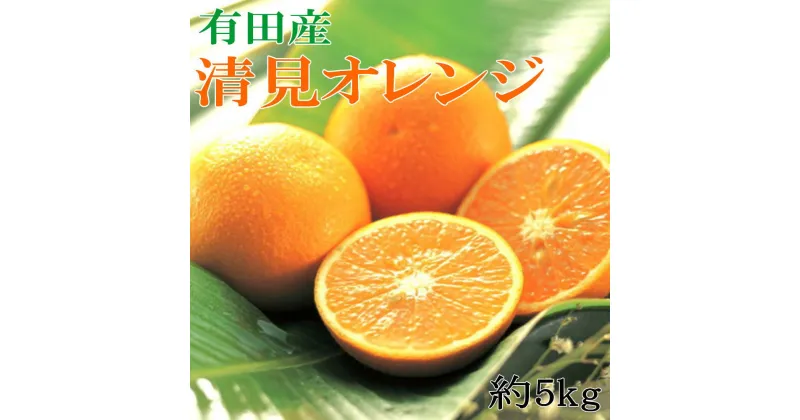 【ふるさと納税】 【濃厚】有田産清見オレンジ約5kg（サイズおまかせ 青秀以上） ※2025年2月中旬〜2025年3月中旬頃に順次発送予定（日付指定不可）【tec958】