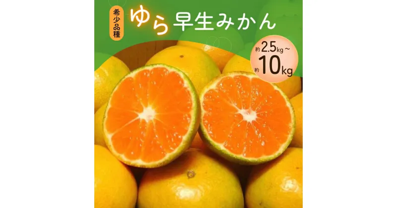 【ふるさと納税】 《 額田農園限定レビューキャンペーン対象 》 ご家庭用 みかん ゆら早生みかん 約2.5kg〜 10kg +300g 選べる 容量 光センサー選別 希少品種 数量限定 家庭用 みかん ミカン 果物 くだもの フルーツ 農家直送 2024年10月上旬~順次発送予定 日指定不可