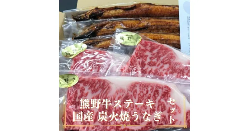 【ふるさと納税】 熊野牛ステーキと国産炭火焼鰻の贅沢うな牛セットB